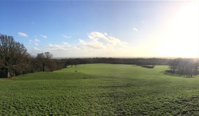 A view over the wide open meadow at Oxleas Woods in Greenwich.