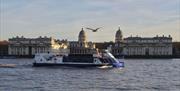 City Cruises boat in front of the Old Royal Naval College famous domes, with a seagull flying past