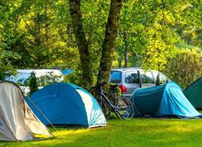 Tents set up in campsite in the woods