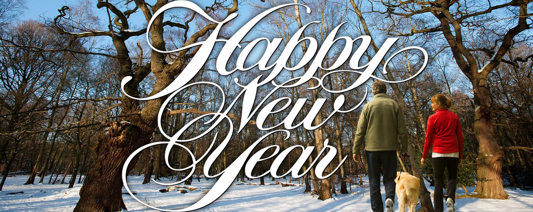 Happy New Year from Epping Forest District