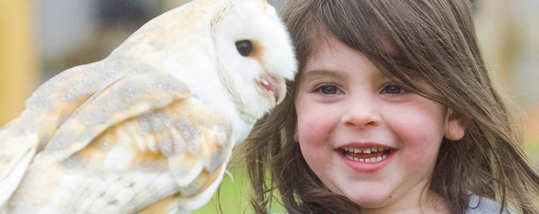 Owl at Lee Valley Farm event