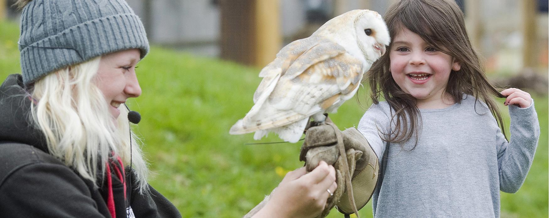 Child holding an owl at lee valley park farms in Epping Forest