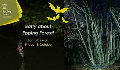 Epping Forest Bat Walk and Talk