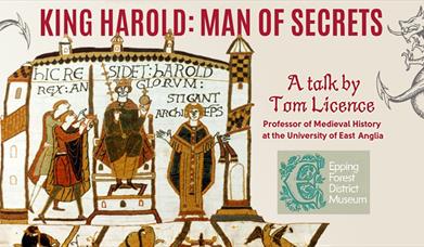 A talk on Kong Harold by Professor Tom Licence at the Epping Forest District Museum
