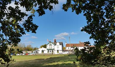 The woodbine viewed from Epping Forest