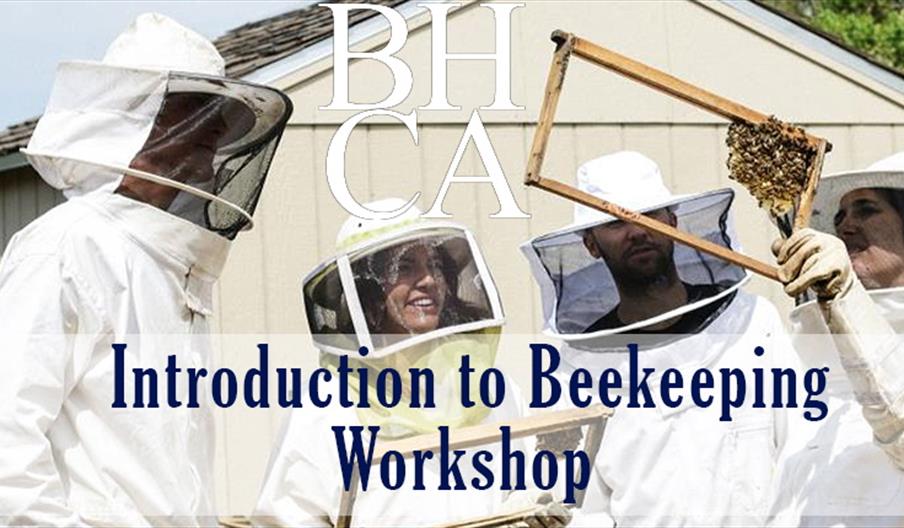 Introduction to Beekeeping Workshop