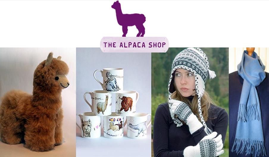 The Alpaca Shop at Butler's Farm and online.