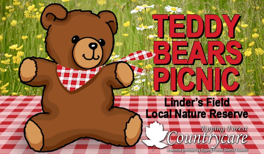 Teddy Bears Picnic at Linder's Field Local Nature Reserve, Buckhurst Hill