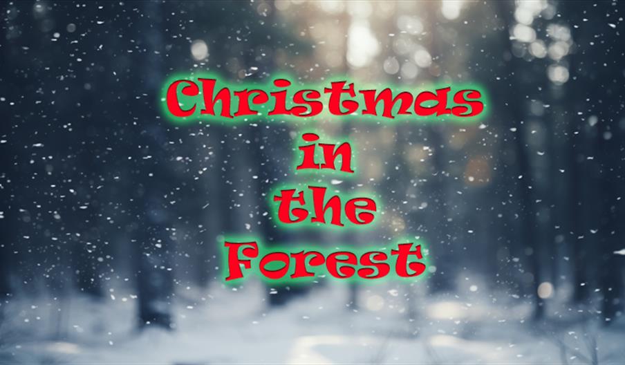 Christmas in the Forest