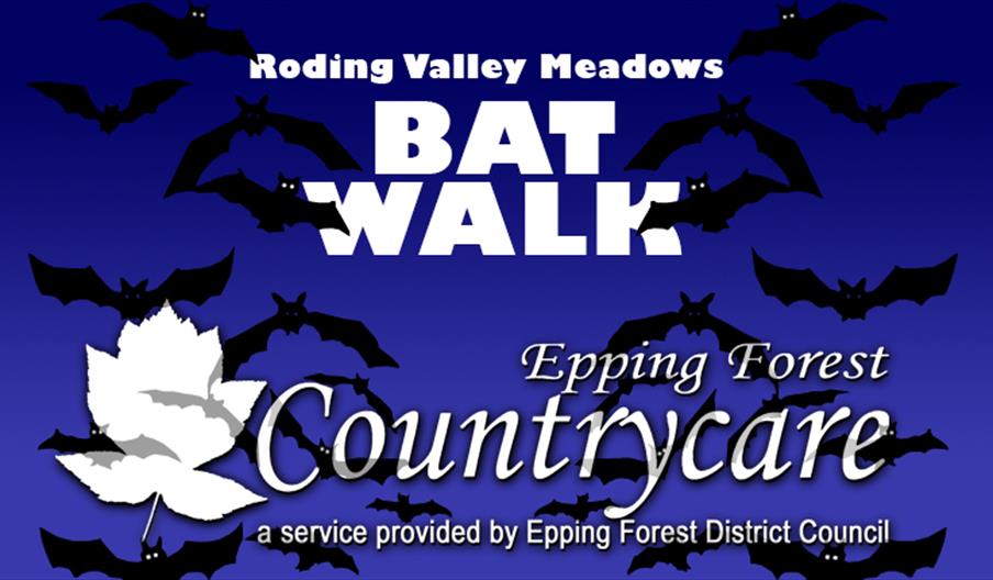 Countrycare Bat Walk at Roding Valley Meadows