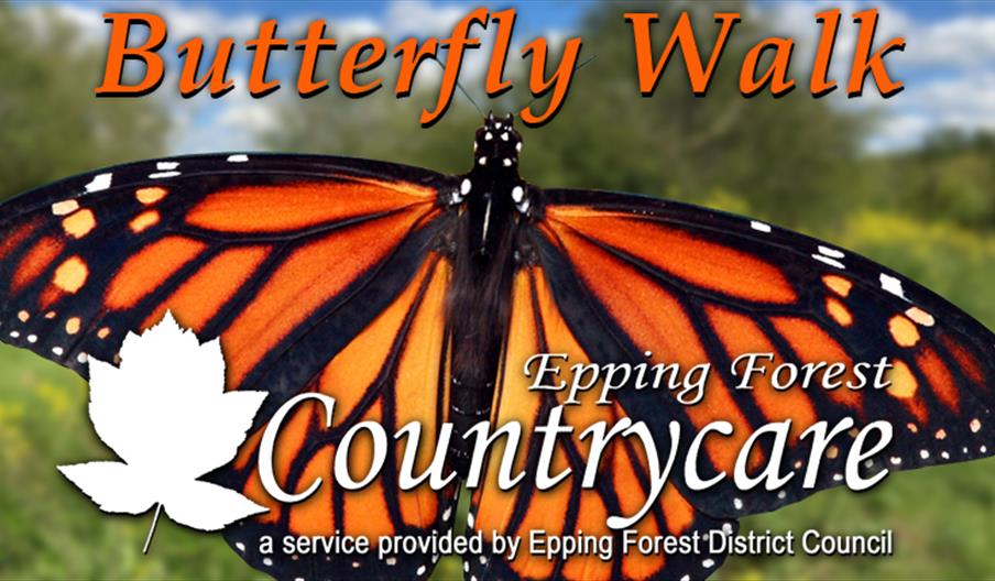 Countrycare Butterfly Walk at Roding Valley Meadows