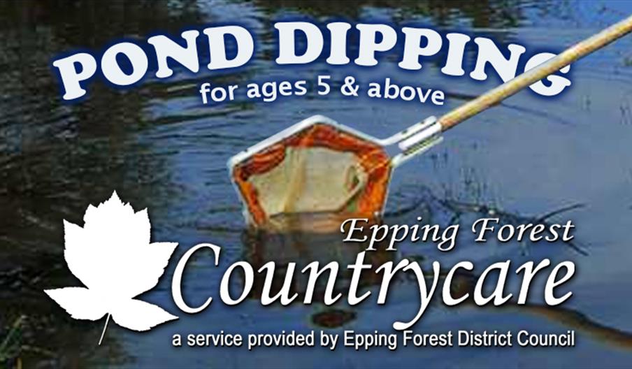 Countrycare pond dipping at Roding Valley Meadows
