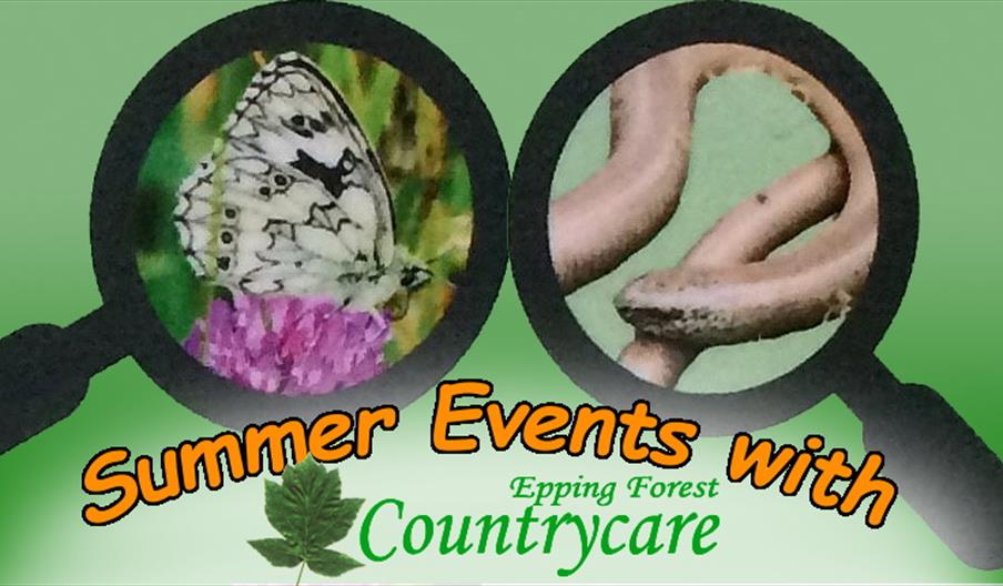 Wildlife Discoveries