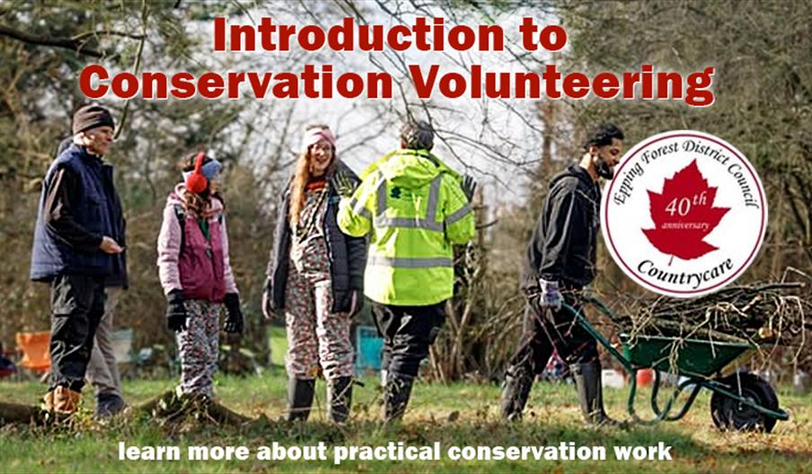 Countrycare are running an Introduction to Conservation Volunteering event at Chigwell Row Wood Local Nature Reserve