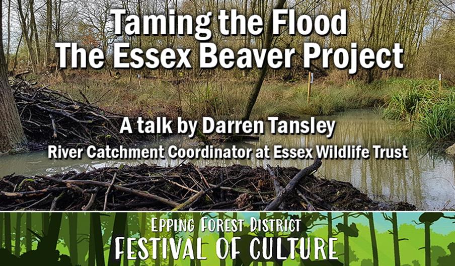 Taming the Flood - The Essex Beaver Project