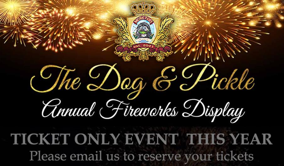 Fireworks Display at The Dog and Pickle, Moreton - Wednesday 5th November 20245