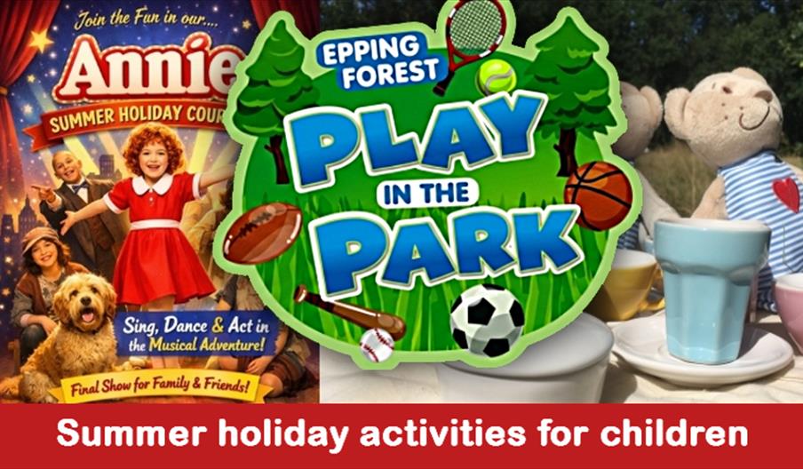 Epping Forest District Council Summer Holidays activities for children including Play in the Park, Annie the musical and Teddy Bears Picnic
