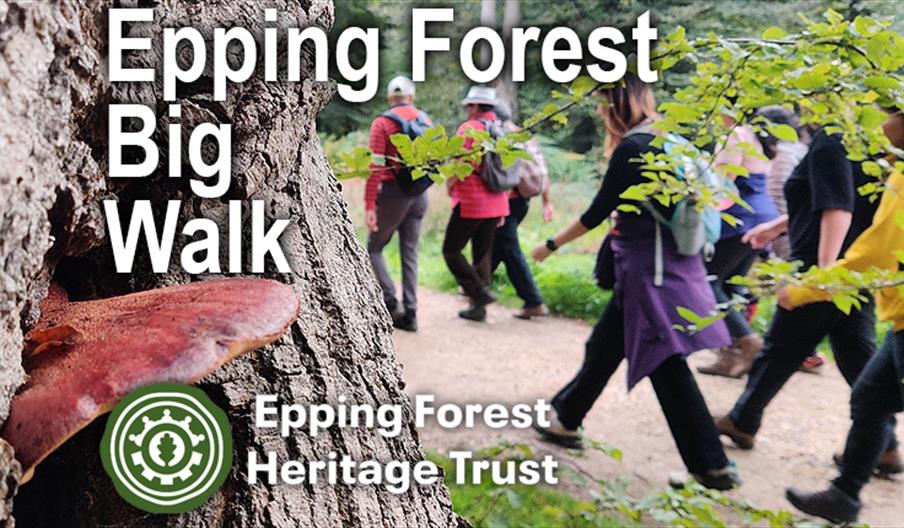 Epping Forest Heritage Trust Big Walk