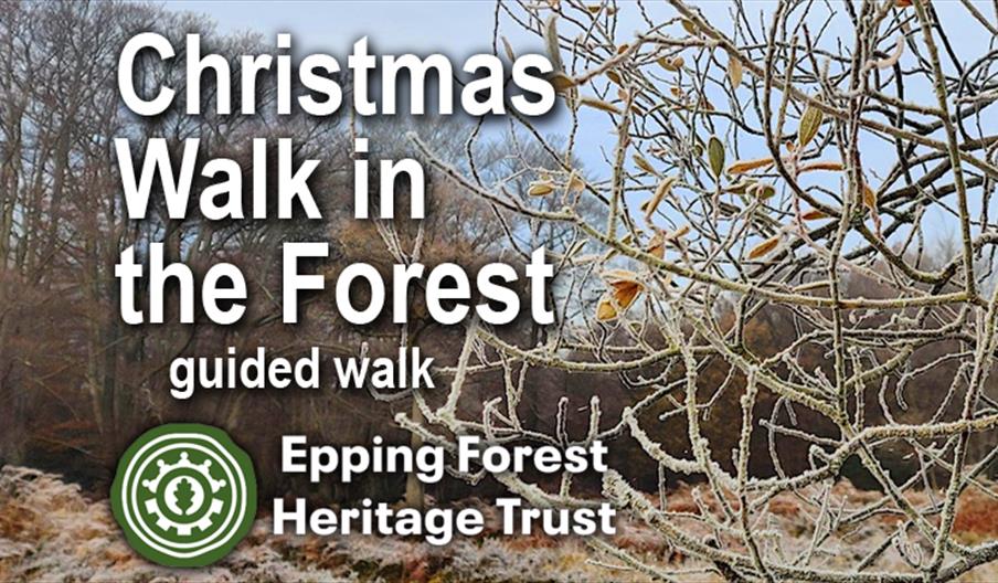 Epping Forest Heritage Trust Christmas Walk in Epping Forest
