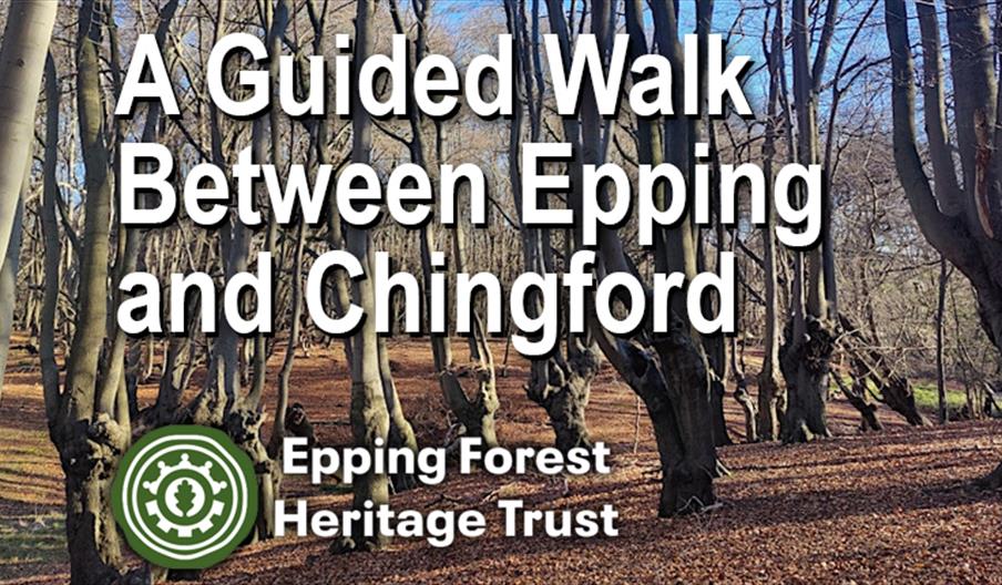 Epping Forest Heritage Trust guided walk between Epping and Chingford Stations