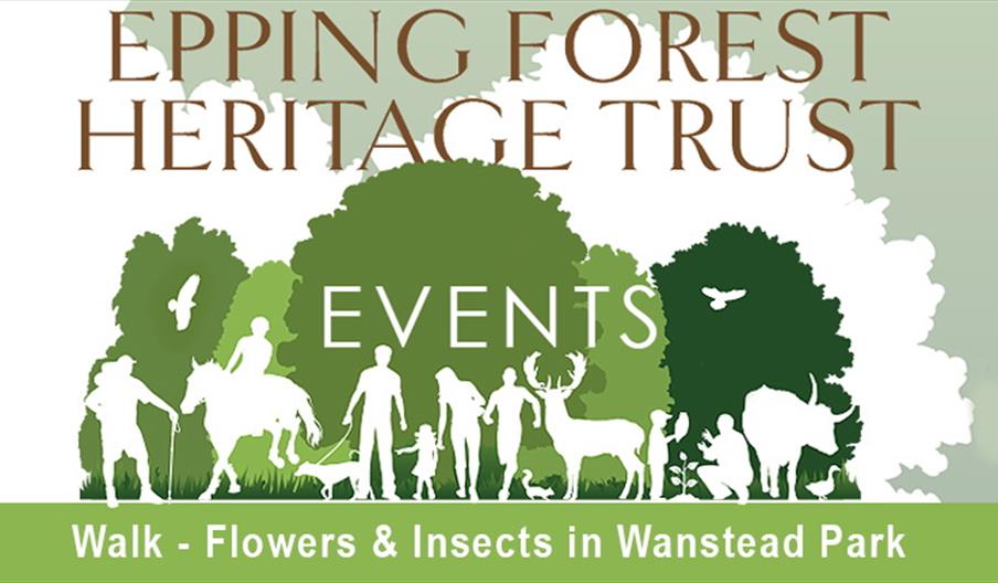 Walk - Flowers & Insects in Wanstead Park