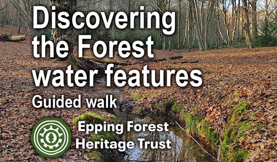 Epping Forest Heritage Trust guided walk discovering the water features of Epping Forest