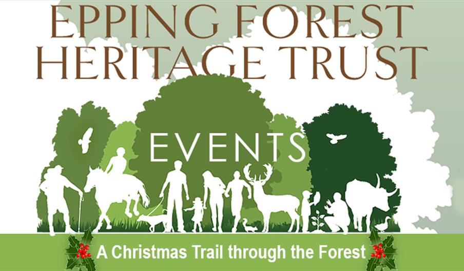 A Christmas Trail through the Forest by Epping Forest Heritage Trust