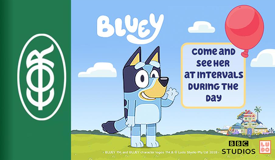 Come and see Bluey at Epping Ongar Railway