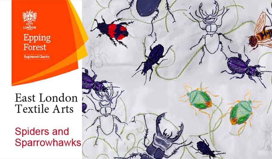 Spiders and Sparrowhawks