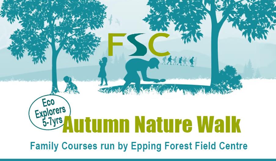 Epping Forest Field Centre children's Autumn Nature Walk for 5 to 7 year olds.