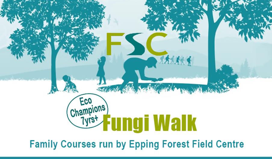 Epping Forest Field Centre Fungi Walk in Epping Forest.