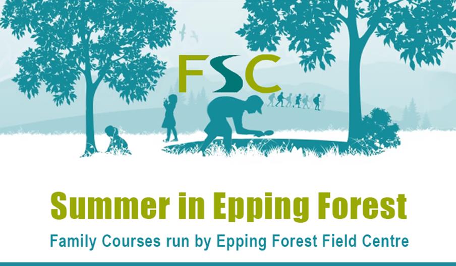 Epping Forest Field Centre summer family activities for children