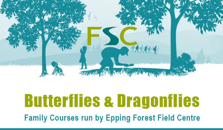 Discover all about butterflies and dragonflies at the Epping Forest Field Centre