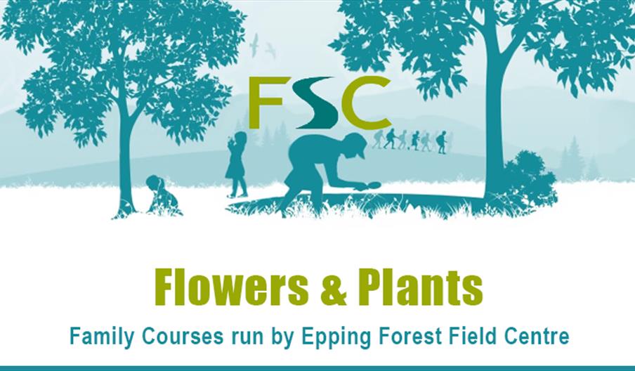 Children can discover all about flowers and plants at the Epping Forest Field Centre