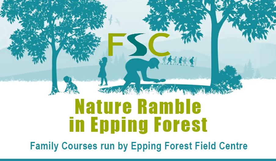 Nature Ramble in Epping Forest
