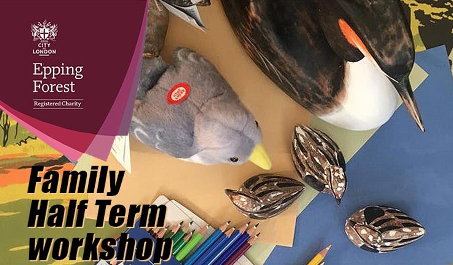 Drawing birds a half term workshop at The View, Epping Forest.