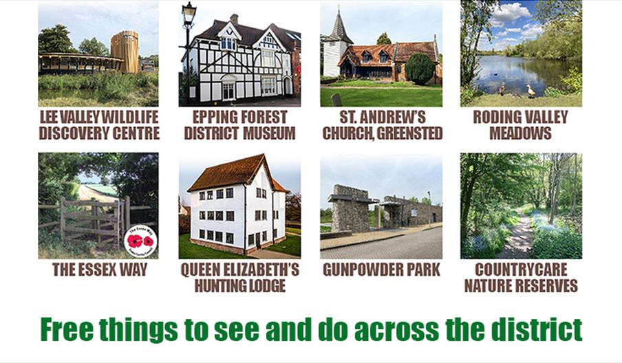 Top 8 FREE things to do in Epping Forest District