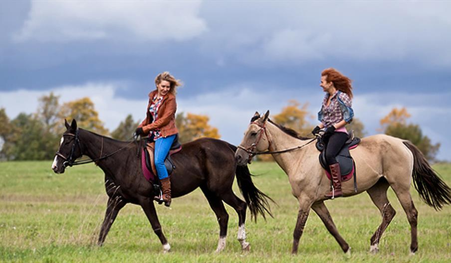 How to Get Started at Endurance Riding – Mulberry Tree Dressage