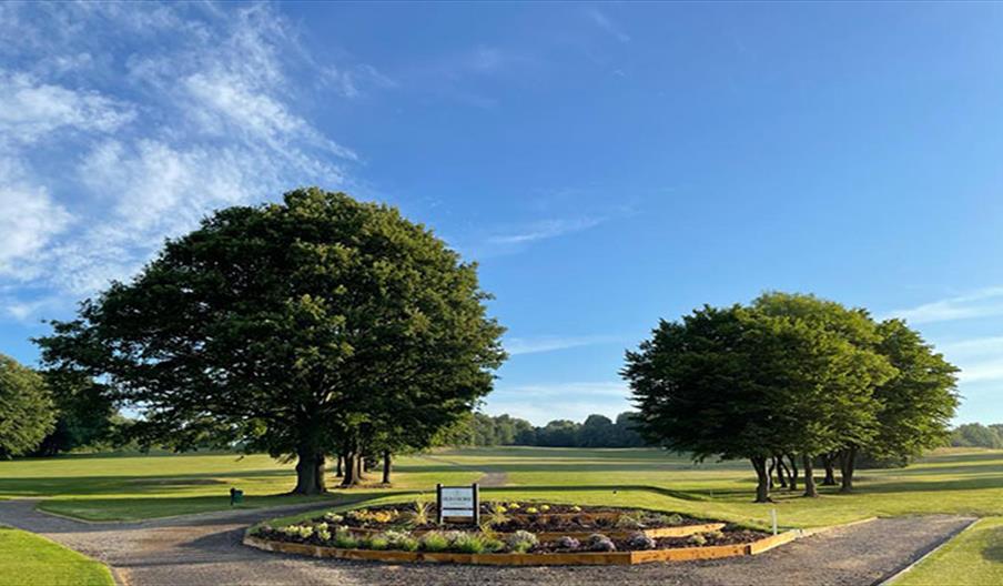 Hainault Golf Club tee box and trees