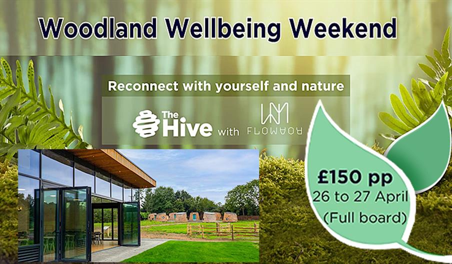 Treat yourself to a wellbeing weekend, with the perfect blend of activities for body and mind, set within peaceful Epping Forest and The Hive grounds.