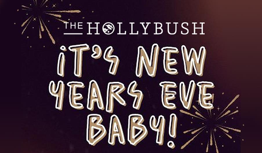 It's New Year's Eve Baby! The Hollybush, Loughton