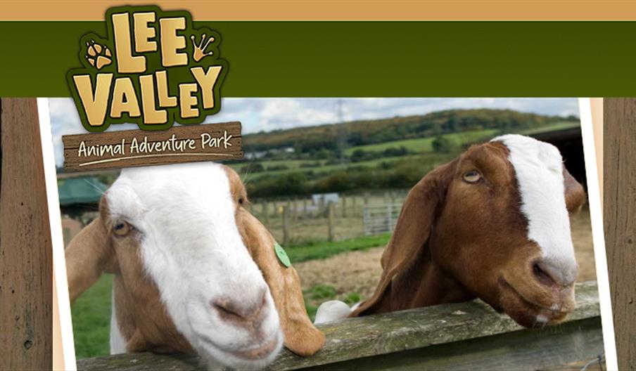 Plan your Visit - Lee Valley - Animal Adventure Park Lee Valley – Animal  Adventure Park