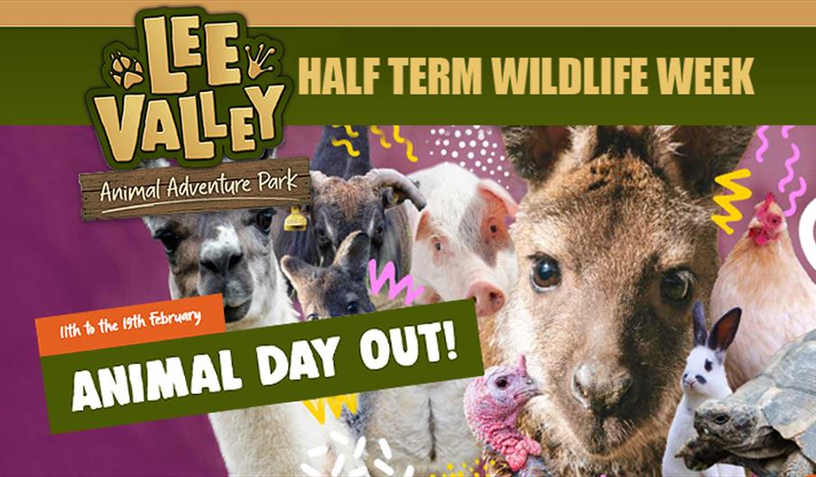 Lee Valley Animal Adventure Park half term Animal Day out 11th to 19th February