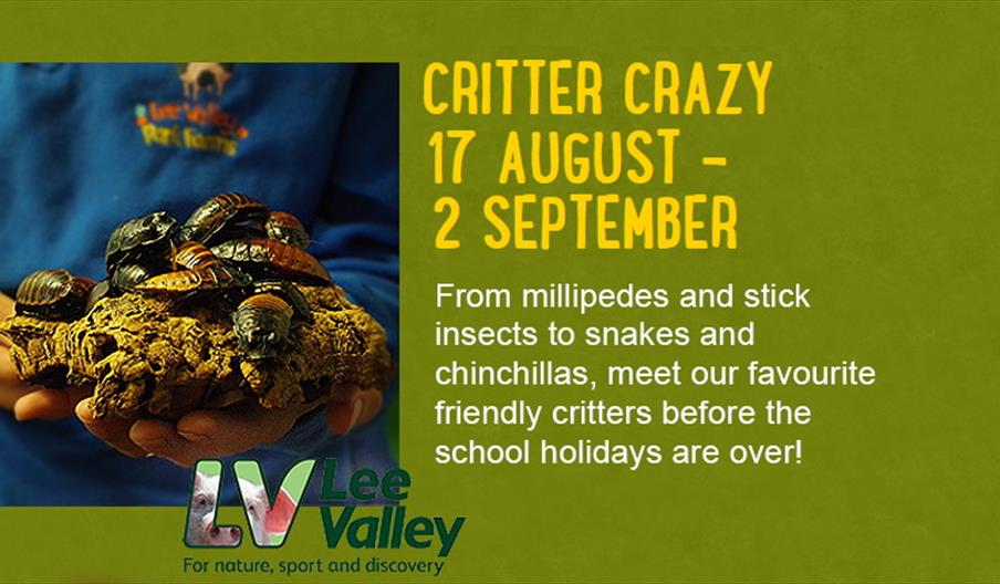 Critter Crazy 17th August - 2nd September