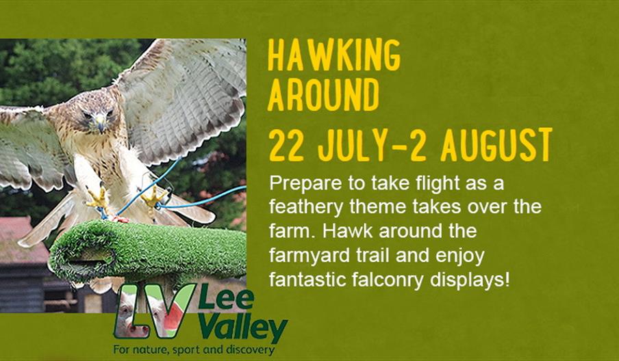 Hawking Around 22nd July - 2nd August