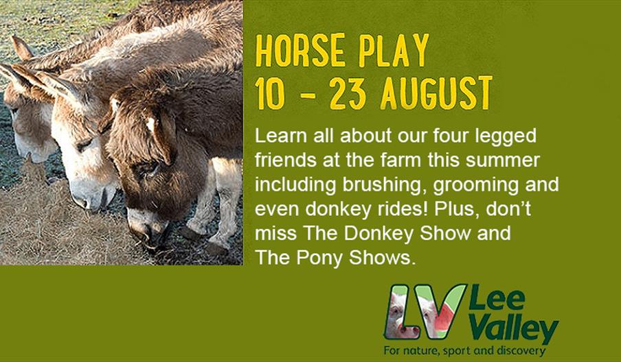 Donkey and Pony shows at Lee Valley Park Farms 10 - 23 August.