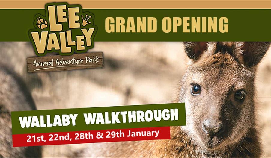 Lee Valley Animal Adventure Park Wallaby Walkthrough and Grand Opening.