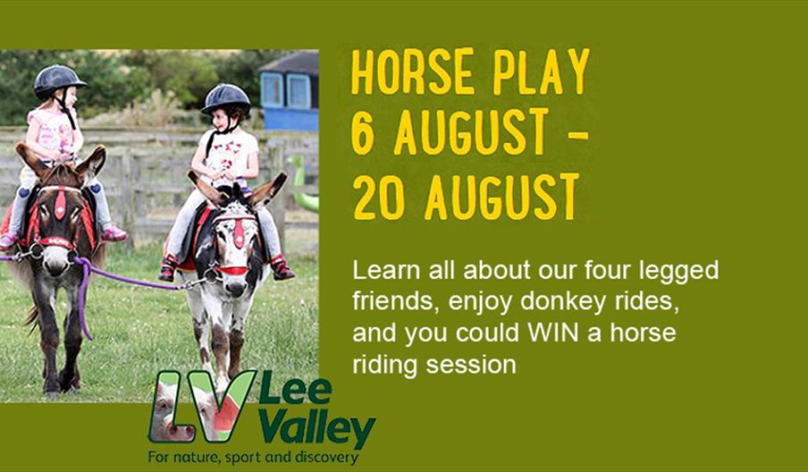 Horse Play at Lee Valley Park Farms, Waltham Abbey.