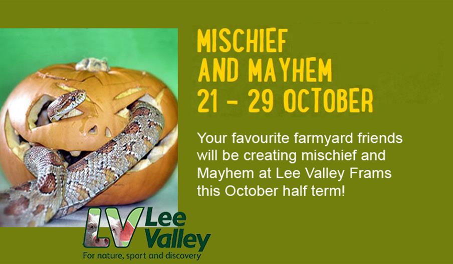 Mischief and Mayhem at Lee Valley Parks, Waltham Abbey.