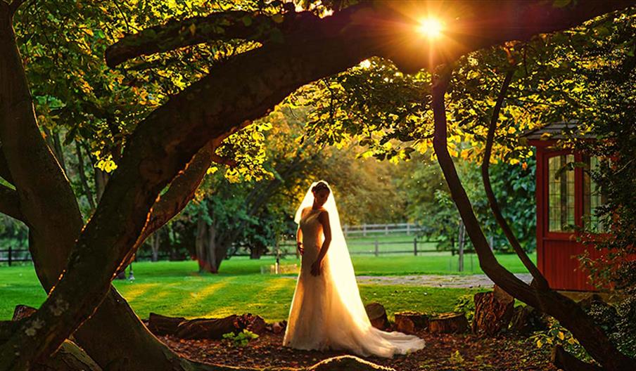 Evening in the grounds of wedding venue Mulberry House, Ongar